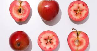 Image result for Pink 1972 Caloric