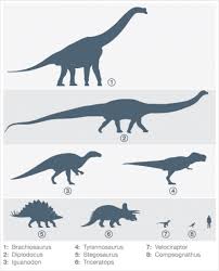 Dinosaurs Size Comparison With A Human Kidspressmagazine Com Animal Facts Interesting Animal Facts Dinosaur Facts