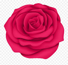Scroll down below to explore more related flower, rose, png. Free Png Pink Rose Flower Transpa Png Images Background Flower Blue Rose Emoji Rose Emoji Png Free Transparent Emoji Emojipng Com