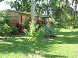 Weeki wachee river flip flop cottage **paddle boards & kayak included at this pet friendly rental** flip flop river house is on a side canal of weeki wachee river and two right river turns to the main river. Cabin Vacation Rental In Weeki Wachee From Vrbo Com Vacation Rental Travel Vrbo Waterfront Cabins Cabin Vacation Vacation