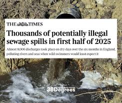 Tens of thousands of fish are suffocating to death in the Swartkops  Estuary. The situation is as a result of a three-week sewage leak that has  been pouring into the Motherwell stormwater