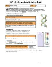 I use this gizmo as an introduction to the topic. Copy Of M5 L1 Gizmo Lab Building Dna Pdf M5 L1 Gizmo Lab Building Dna Prior Knowledge Questions U200b Do These Before Using The Gizmo Dna U200b Is An Course Hero