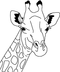 The whole body of the giraffe is covered in mosaic like patterns up to the knee. Free Image On Pixabay Africa Animal Black And White Giraffe Drawing Giraffe Coloring Pages Giraffe Outline
