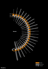 Graphic Map Of The Film Memento Infographic Timeline Infographic Infographic Poster