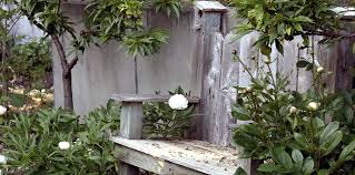 The free patterns page is organized from top to bottom alphabetically by pattern name. Pattern Lanuage Garden Lovinger Robertson Landscape Architect
