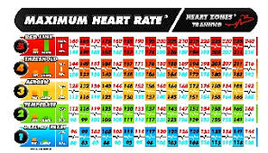 Heart Rate Training Ideafit