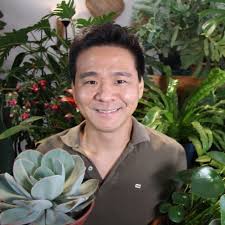 Lança-de-São-Jorge (Sansevieria cylindrica)