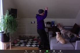 Sierra madre, california decorating style: Schedule Online With Urban Pooch Training Fitness Center On Booking Page