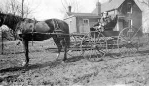 Margaret Schumann (Vinardi)