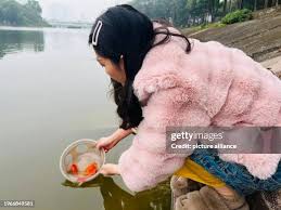 30 Linh Dam Pham Stock Photos, High-Res Pictures, and Images