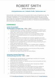 The roles and responsibilities document details various functions to any project may include, but not be limited to, these roles and responsibilities. Junior Accountant Resume Samples Qwikresume