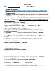 Snurfle Meiosis Worksheet Docx Snurfle Meiosis Name Date Click On Snurfle Meiosis Course Hero