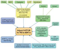 Dont take 5 htp and effexor together. Adjunctive 5 Hydroxytryptophan Slow Release For Treatment Resistant Depression Clinical And Preclinical Rationale Abstract Europe Pmc