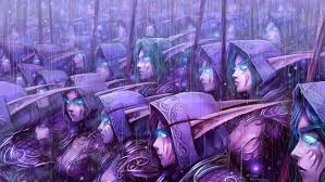 I know in night elf society, priests are actually priests (priestess) of the moon not followers of the light. Shadowleaf Infantry A Night Elf Roleplaying Guild Turtle Wow