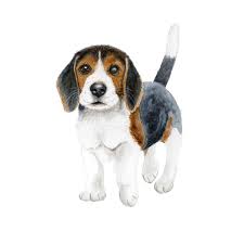 Beagle Puppy Nursery Print Dog Watercolor Art Tiny Toes Design A collection of the top 60 cute puppy wallpapers and backgrounds available for download for free.