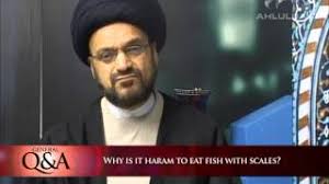 So opinions of scholars on something like calamari range from haram (majority opinion) to halal. Why Is It Haram To Eat Fishout With Scales General Q A Youtube