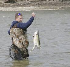 Some of the most common species are the spotted bass, sauger, freshwater drum, channel and flathead catfish. Fishing Report For March 16 Steelhead Trout Walleye Are On The Run Cleveland Com