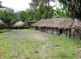 Bagi masyarakat adat papua, rumah honai ini bukan hanya sekadar bangunan rumah saja, akan tetapi bagi mereka rumah ini dianggap. Cari Jawaban Soal Kelas 4 Tema 7 Subtema 2 Asal Dan Keunikan Rumah Adat Baileo Tambi Honai Tongkonan Dan Lamin Semua Halaman Bobo