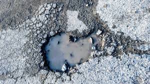 Image result for images birds inpotholes