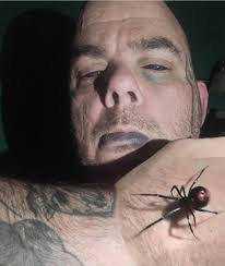 Black widow spider at Hyde Park tennis courts