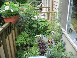 Maybe you would like to learn more about one of these? Balcony Gardening Basics Master Gardeners Of Northern Virginia