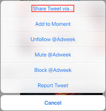 Check spelling or type a new query. Twitter Here S How To Copy The Link To A Tweet On Mobile
