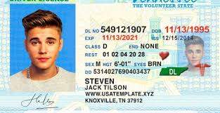 Tennessee Drivers License Psd Tn Driving License Template Tennessee Drivers License Psd Tn Driving License Drivers License Driving License Id Card Template
