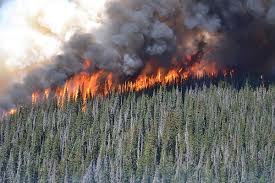 I live in illinois and i have been coughing quite a bit more than usual. B C Tackles Wildfire Prediction New Strategies To Respond Victoria News