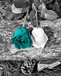 Black And White With Pop Of Color Art Your Place To Buy And Sell All Things Handmade Vintage And Supplies Purple Wall Art Purple Roses Color Splash