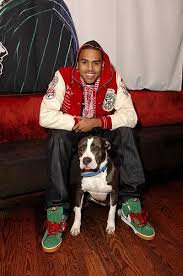 Chris Brown With A Dog Pitbull Chris Brown Breezy Chris Brown Chris Brown