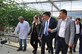 Tarım ve orman bakanı bekir pakdemirli'nin annesi nuran pakdemirli'nin (80) içinde bulunduğu araç manisa'da trafik kazası yaptı. Bakan Pakdemirli Buzagiyi Sut Ile Besledi 2