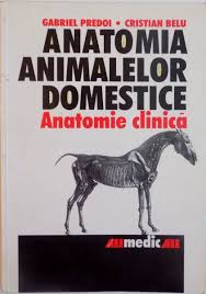 Join facebook to connect with ianis cristian predoi and others you may know. Anatomia Animalelor Domestice Anatomie Clinica De Gabriel Predoi Cristian Belu 2001