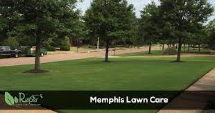 Lawn brothers is your preferred choice for all your lawn maintenance and yard care needs in the memphis shelby county areas and mississippi desoto county areas. Lawn Care Service In Memphis Tn Roper Lawn Landscape