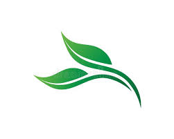 Elegant floral collection free vector. Tree Leaf Vector Logo Design Eco Friendly Concept Stock Illustration Illustration Of Concept Leaf 143755550