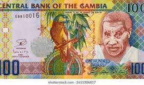 Rice Planting Portrait Gambia 200 Dalasis Stock Photo 1905276370