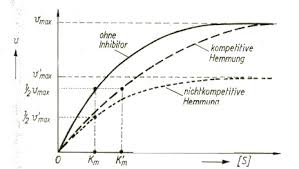 Experimentelle erarbeitung der temperaturabhängigkeit enzymatischer reaktionen. Https Www Uni Ulm De Fileadmin Migrated Content Uploads Enzyme05 Pdf