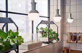 Fur Einen Gruneren Alltag Neues Hydrokultursystem Von Ikea Hydrokultur Garten Diy Hydroponik Gartnern Auf Kleinem Raum