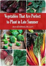 Planting calendars for places in north carolina. Vegetables That Are Perfect To Plant In Late Summer Fall Garden Vegetables Winter Vegetables Gardening Indoor Vegetable Gardening