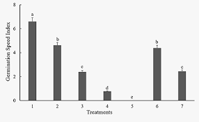 Image result for Eragrostis humidicola