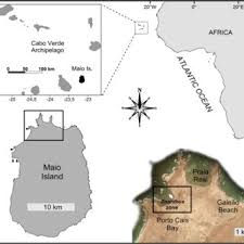 Patrice Brehmer Researcher Tropical Fisheries Marine Ecology Fisheries Acoustics Institute Of Research For Development Marseille Ird 195 Marine Environmental Sciences Laboratory Lemar