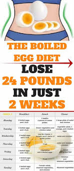 Evasive Diet Plan 500 Calories A Day Dietmayo Weightlossplan30day Calories Day Diet Dietmay In 2020 Boiled Egg Diet Hard Boiled Eggs Diet Diet Recipes Flat Belly