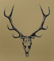 The illustration is available for download in high resolution quality up to 5000x5000 and in eps file format. Diy Uncle Buck P Deer Skull Tattoos Antler Tattoos Stag Tattoo