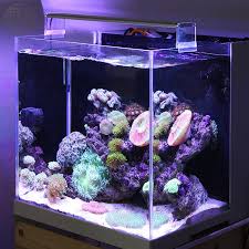 Marine Led Light Coral Sps Lps Aquarium Sea Reef Tank White Blue Chihiros Brief Style Aquarium Sea Aquarium Aquariumled Chihiros Aliexpress