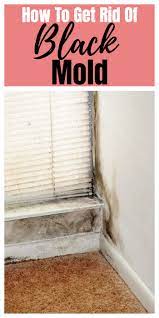Non Toxic Ways To Get Rid Of Black Mold Household Cleaning Tips Household Hacks Diy Cleaning Hacks