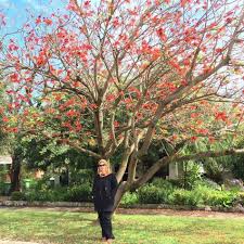 Tapi seperti biasa cuma penghujung mac/awal april saja terasa cuaca mula berubah.hujung minggu lepas hujan turun agak lebat. Tip Travel 6 Hari Ke Perth Australia Bersama Keluarga Dengan Bajet Bawah Rm2k Seorang