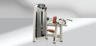Upper Back Exercise Machine For Training Upper Back Exercises Back Exercises Workout Machines