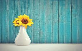 Bunga yang memiliki bunga bewarna kuning cerah. Contoh Descriptive Text Tentang Bunga Matahari Dan Artinya Asaljeplak Com