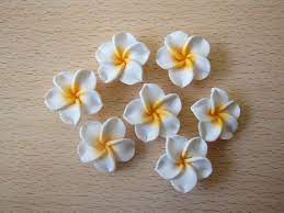 10 Pcs Plumeria Frangipani Flower Polymer Clay Beads Flatback 25mm Polymer Clay Flowers Clay Flowers Crochet Flower Patterns