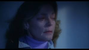 The Fan (Film, 1981)