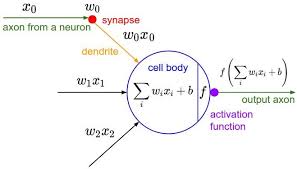 Cs231n Convolutional Neural Networks For Visual Recognition Data Science Learning Machine Learning Deep Learning Deep Learning